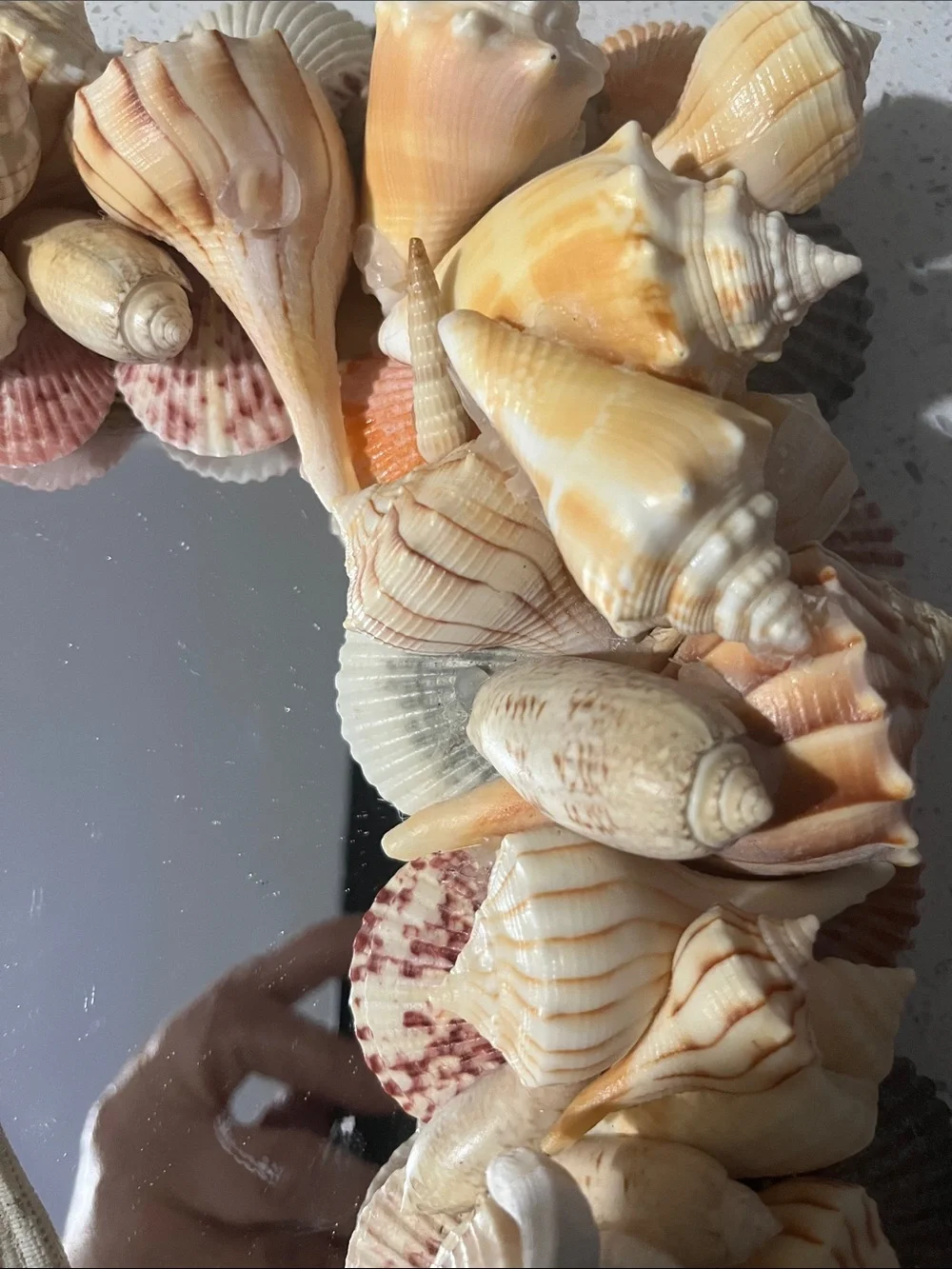 Handmade Coastal Seashell “Charli’ Starfish Wall Mirror - Natural Beige Shells